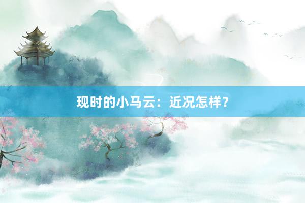 现时的小马云：近况怎样？