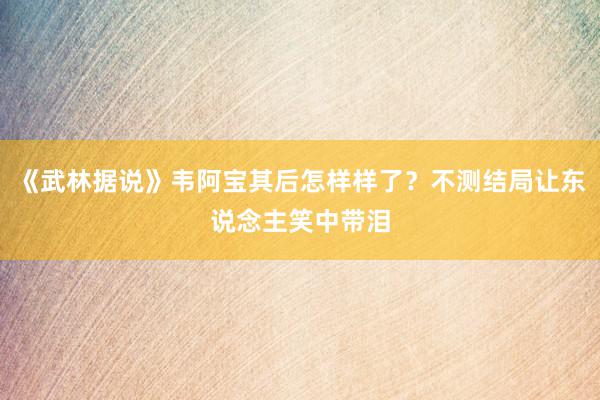 《武林据说》韦阿宝其后怎样样了？不测结局让东说念主笑中带泪